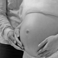 マタニティプランはこちら