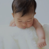 百日・お宮参りプランはこちら